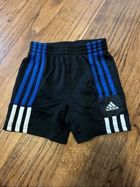 adidas Black Shorts with Blue and White Stripe Accents